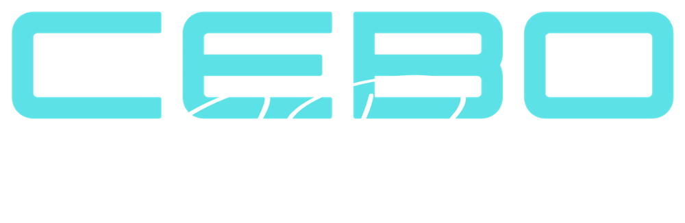 Cebo Car Detailing